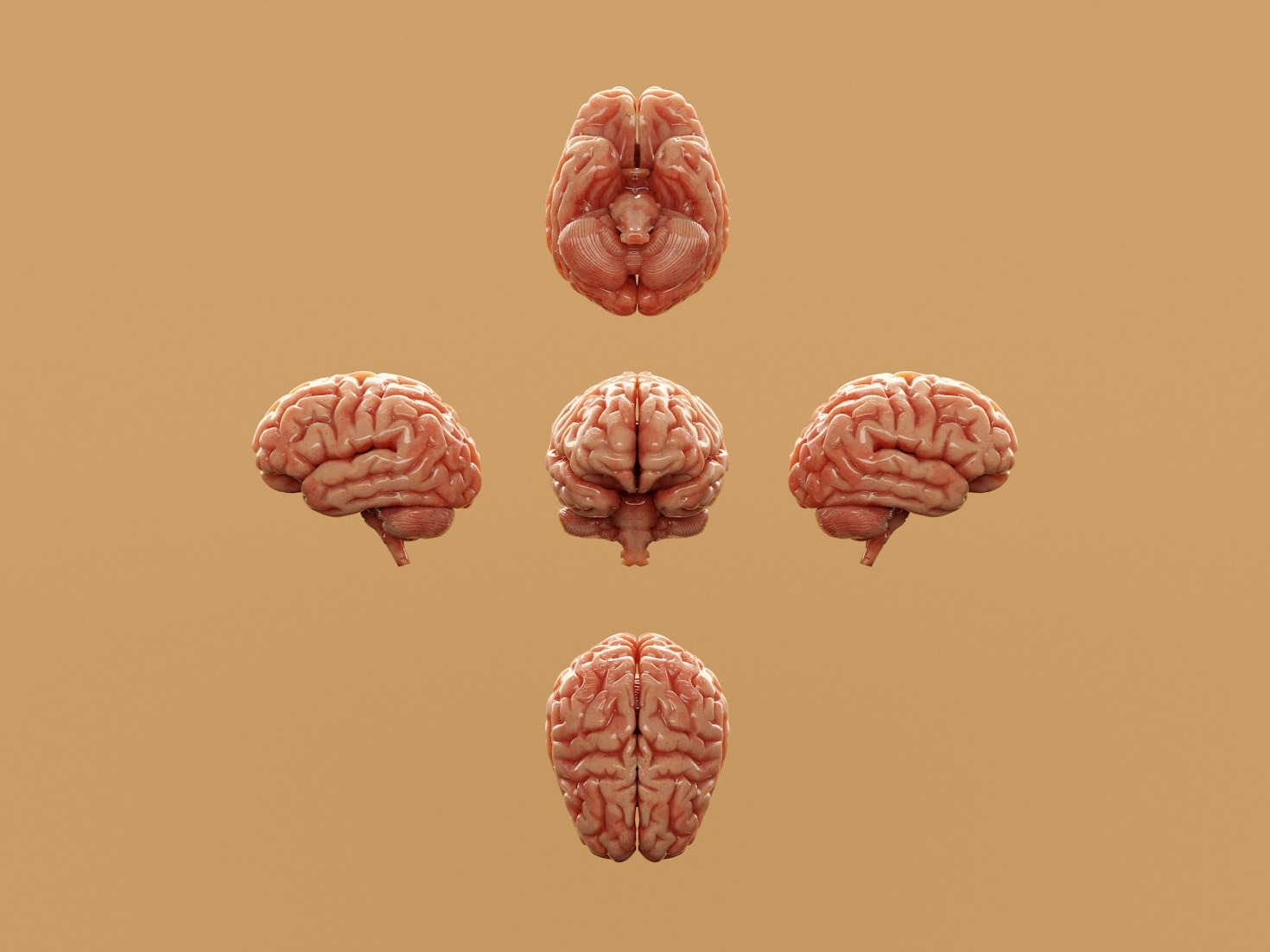 Top Psychological Theories That Drive Change